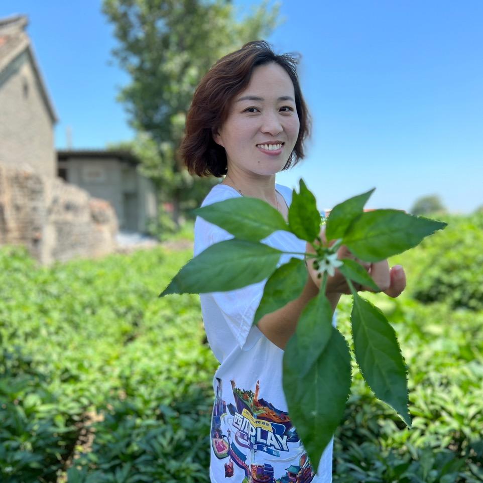 娜本是我
