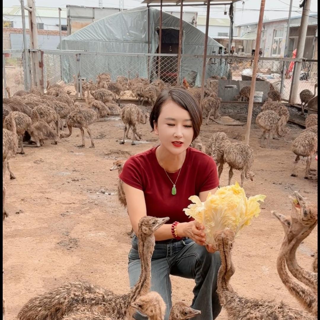 郓城旭诚养殖有限公司