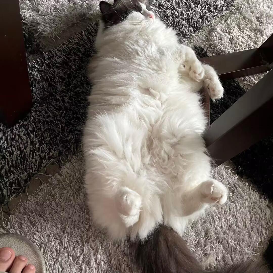 夏夏天天