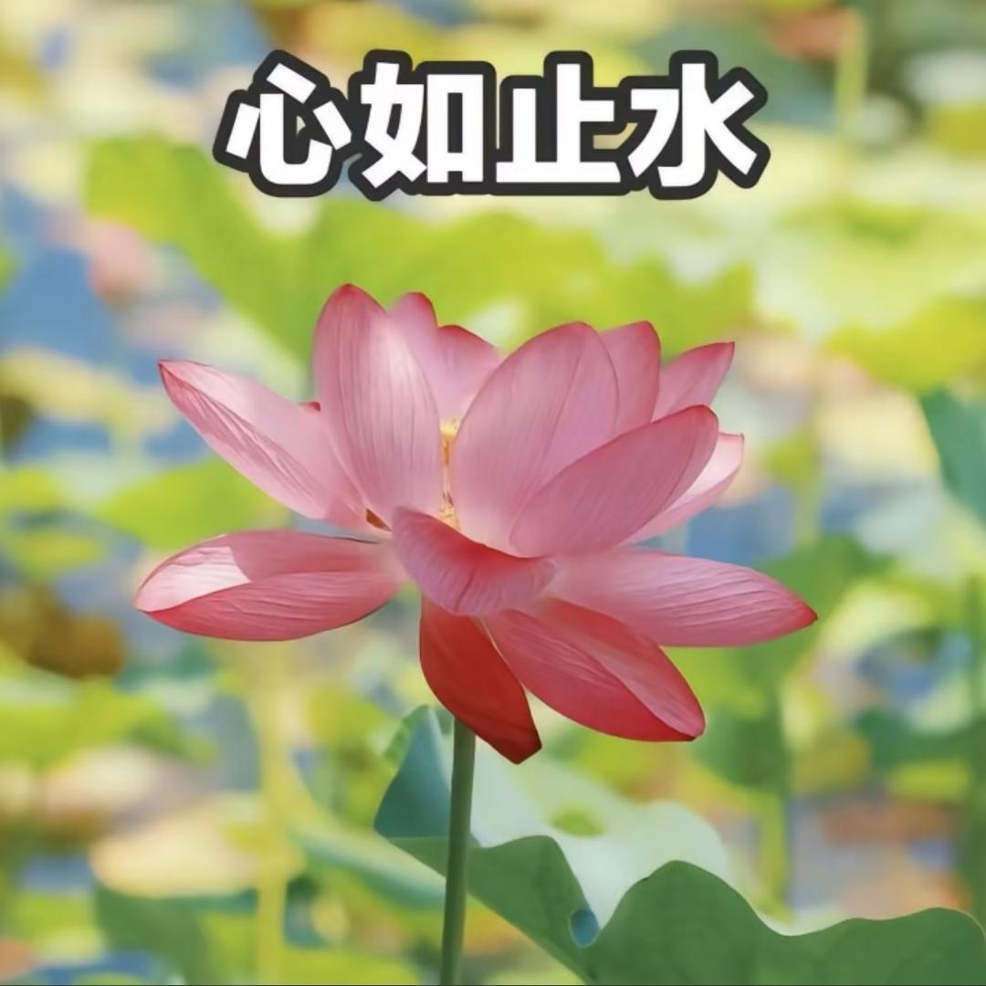 A.闯