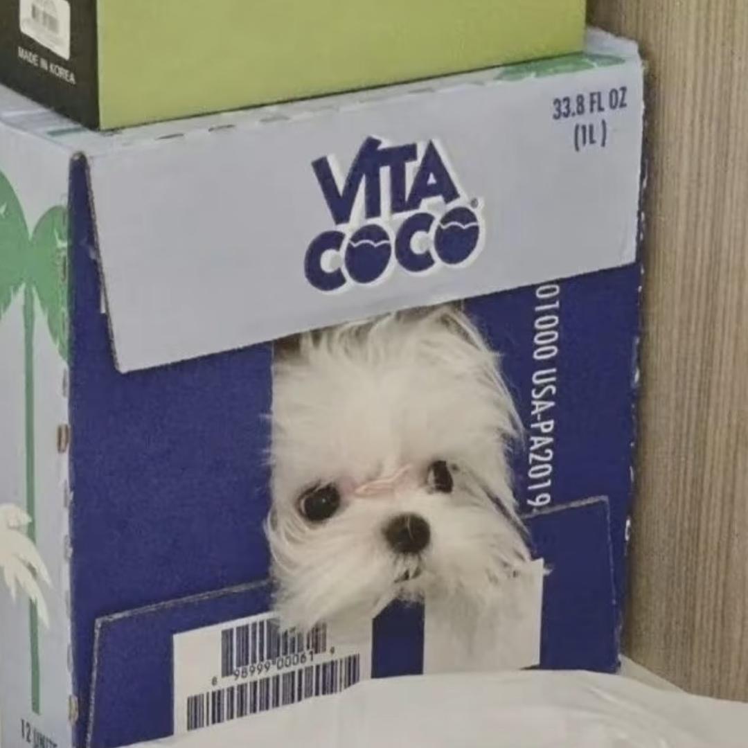 ToTiu