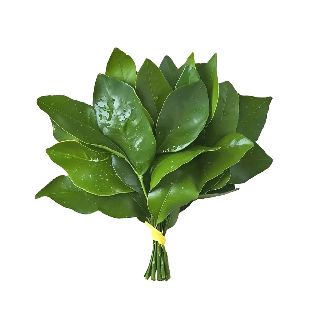 困kun小羊