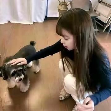 些许风霜些许愁