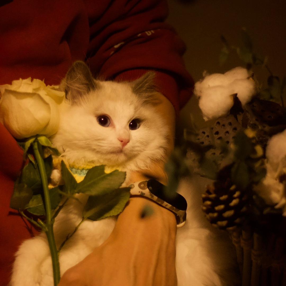 𝑴𝒓.𝒄𝒉𝒆𝒏🌝