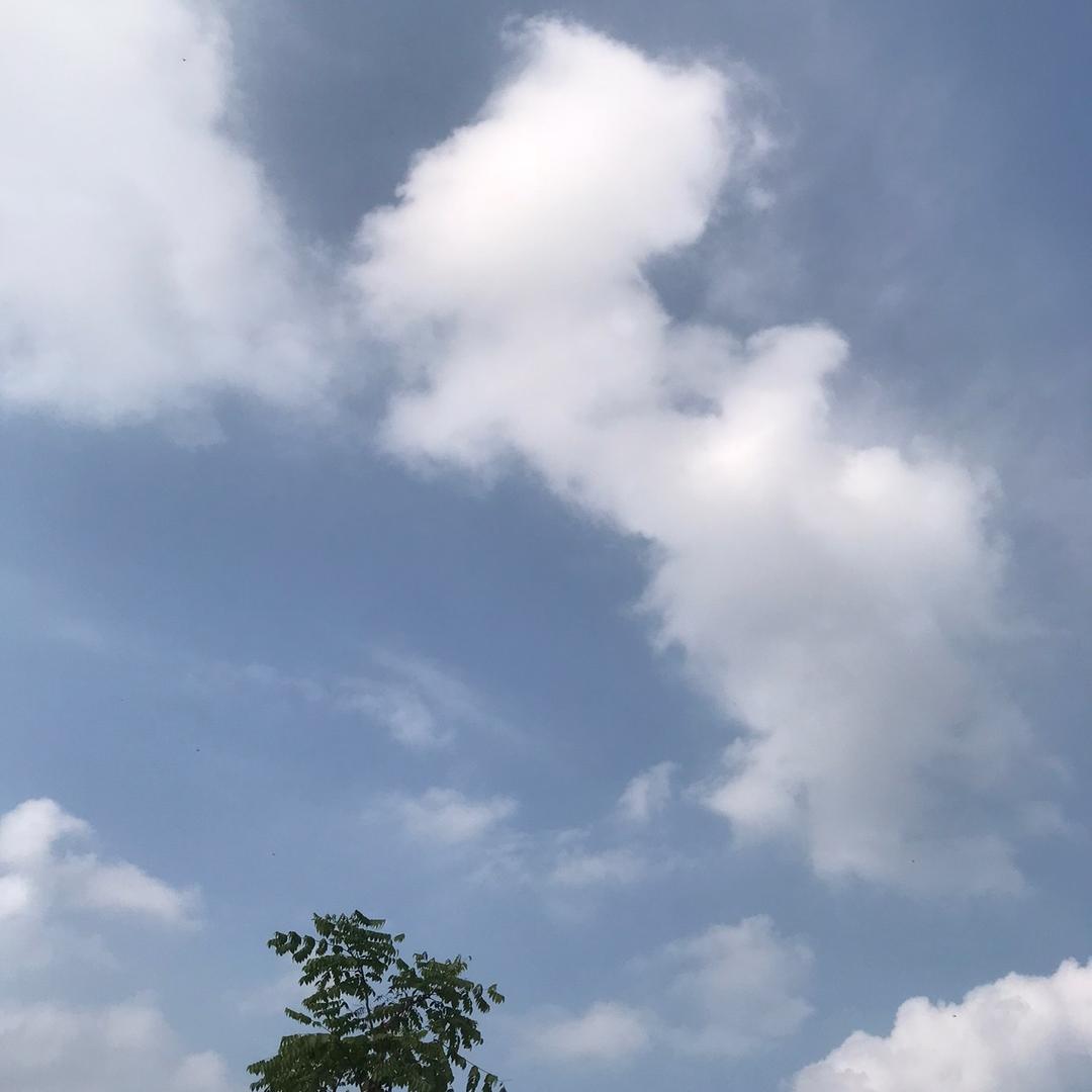 轩宝直播