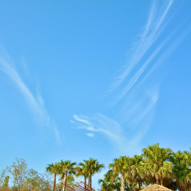 ᰔᩚ 柠檬不酸ᰔᩚ