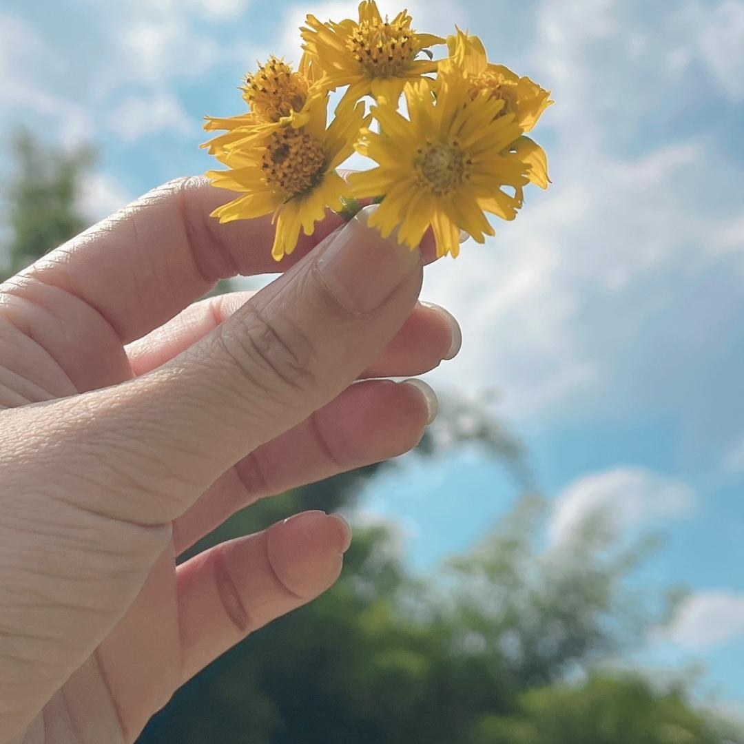 朵儿吖~