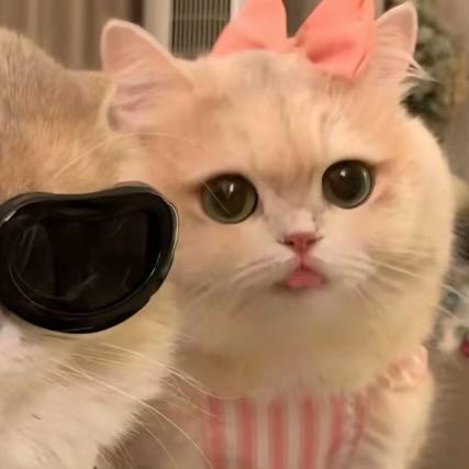 加点糖