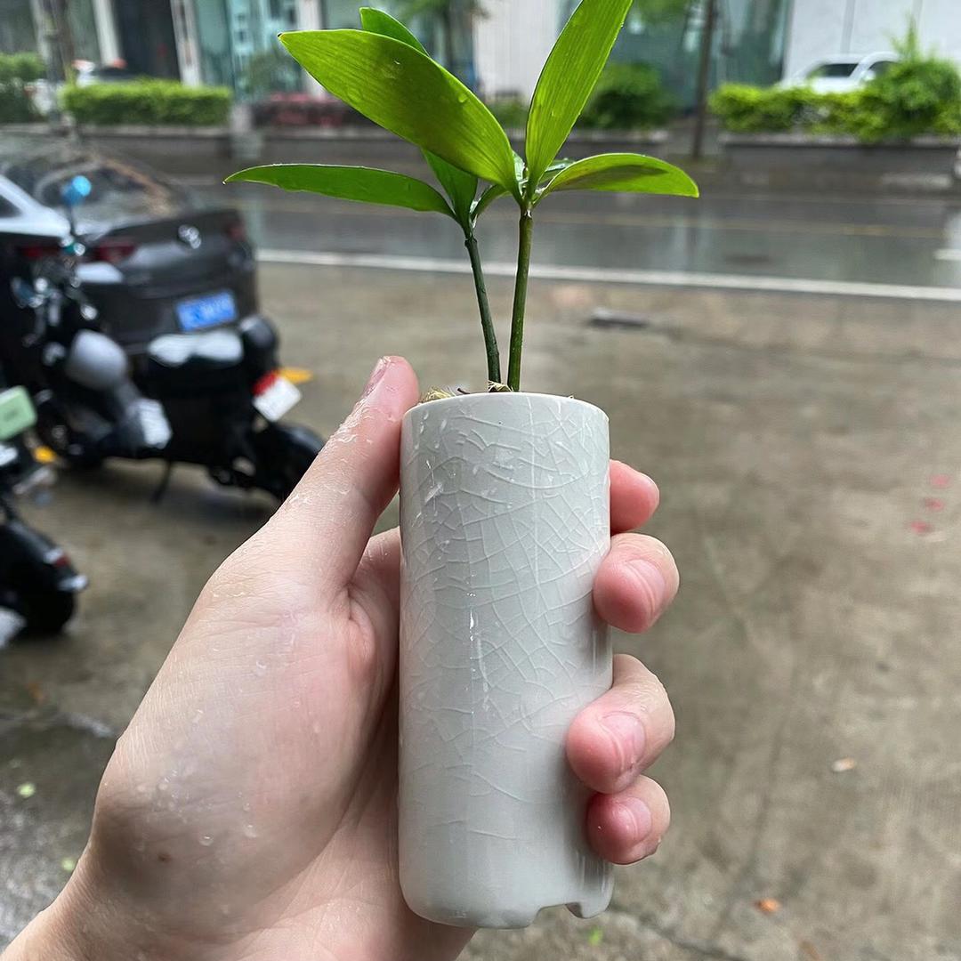 河马生鲜果蔬