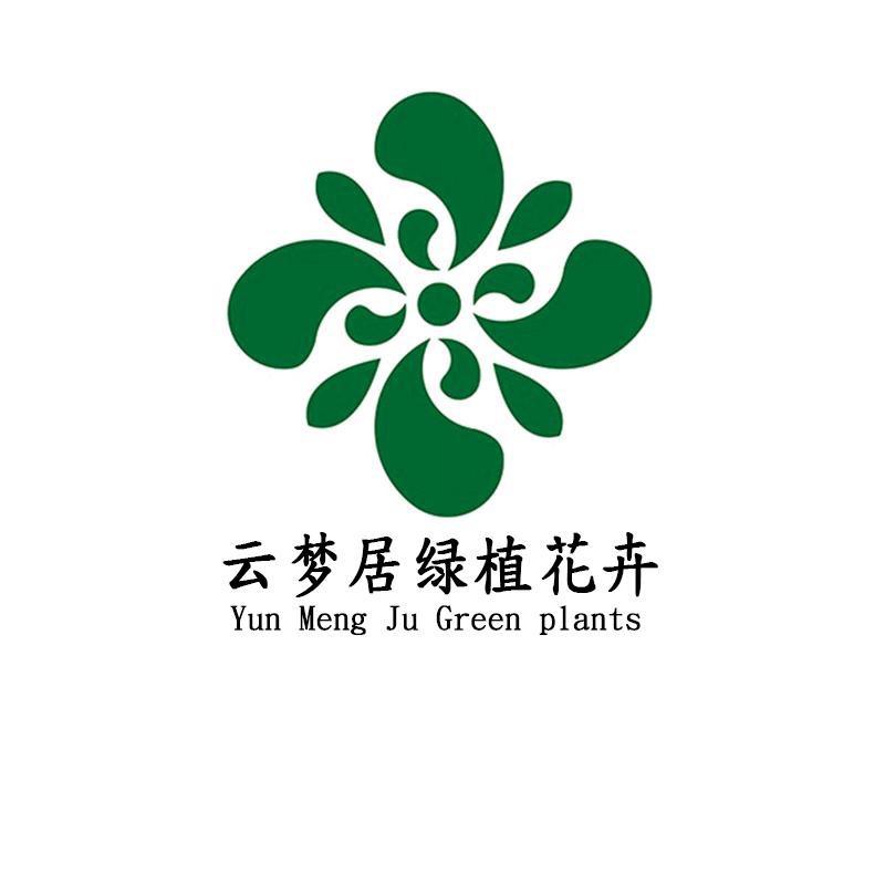 云梦居绿植盆景