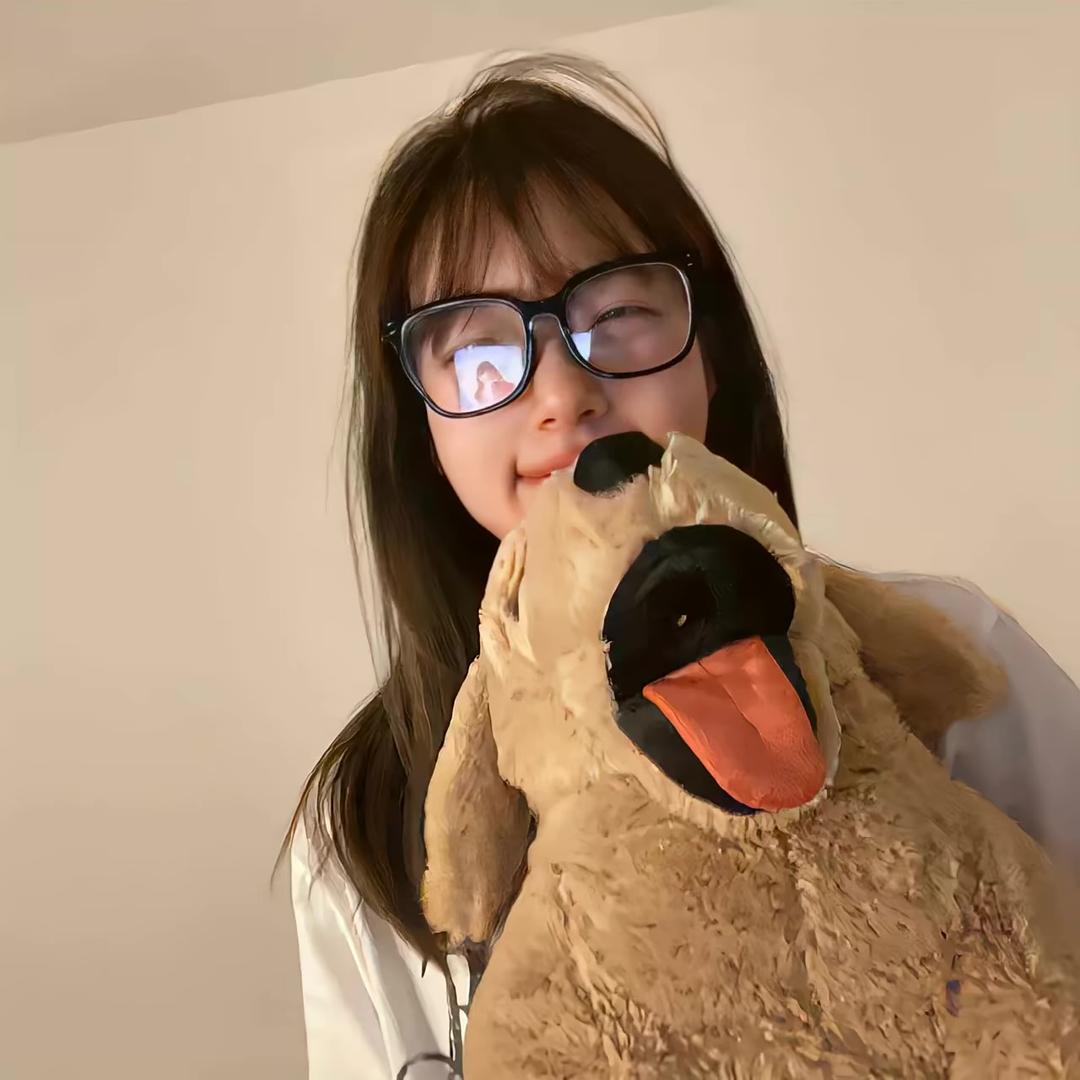 失眠数羊.ಣ🐑