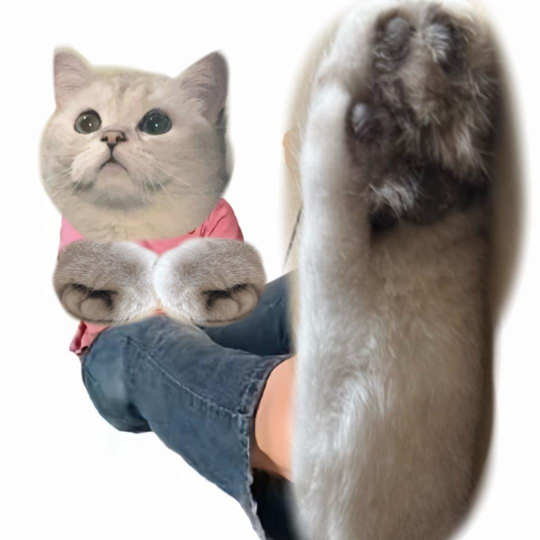 ⁺✞ʚ易遇重度依赖✟ɞ