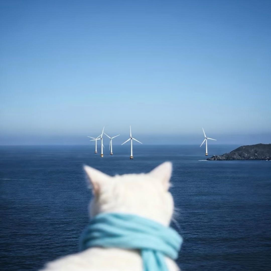 bymyside✰⋆⁺₊⋆