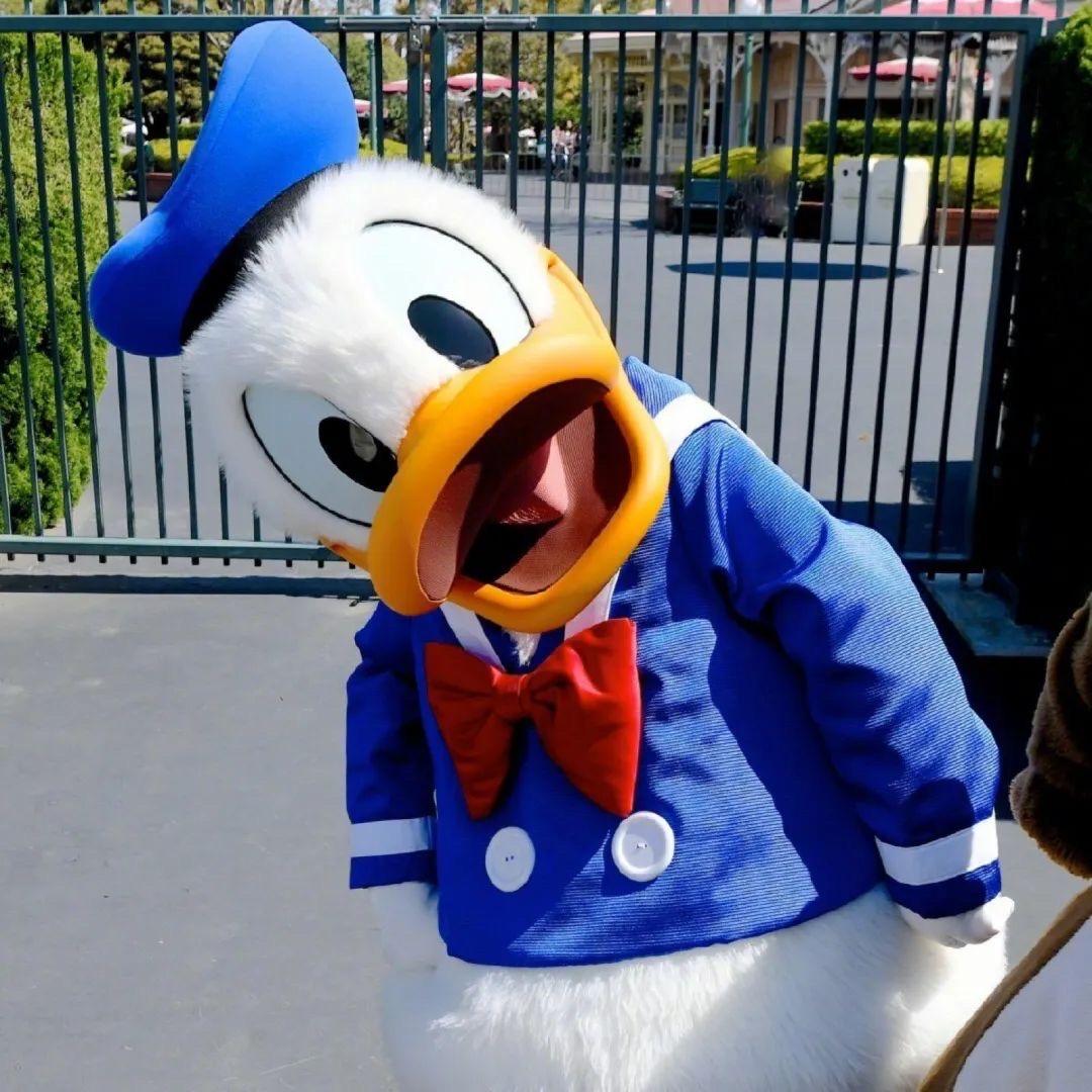 每天都要吧唧嘴