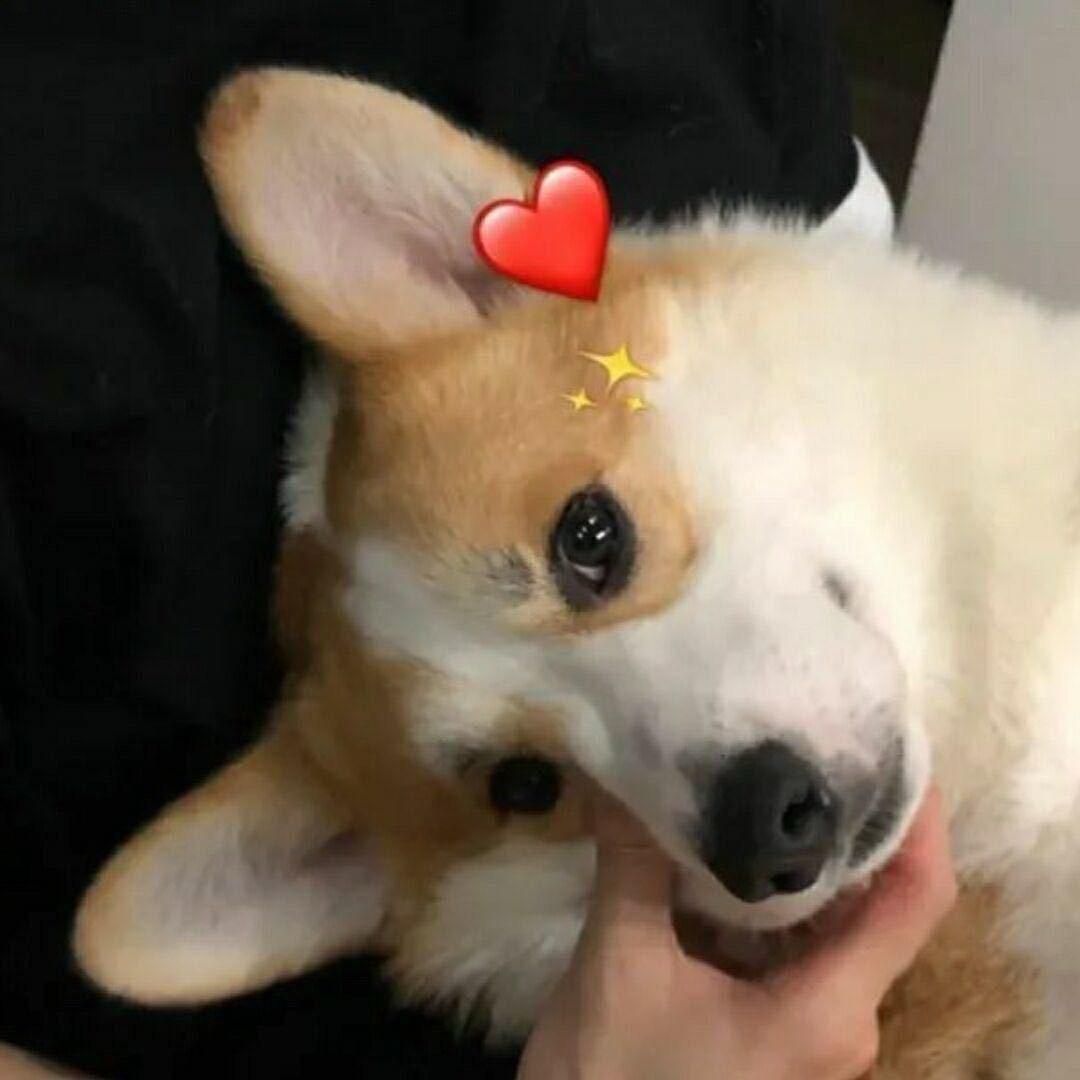 邪恶面包人