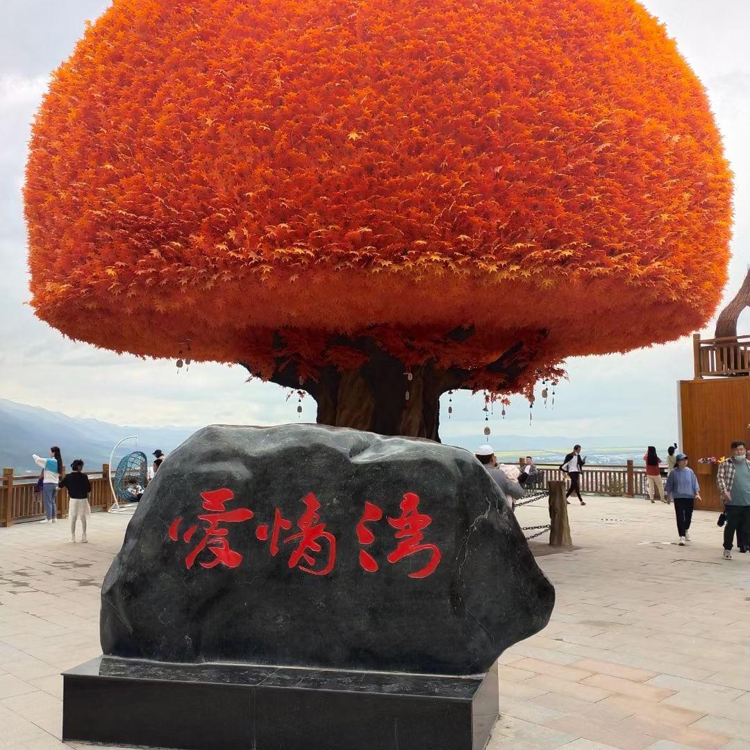 少年瘾