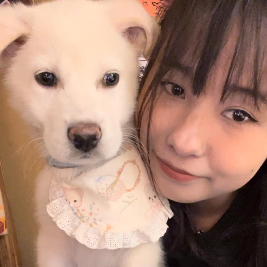 想去无敌世界