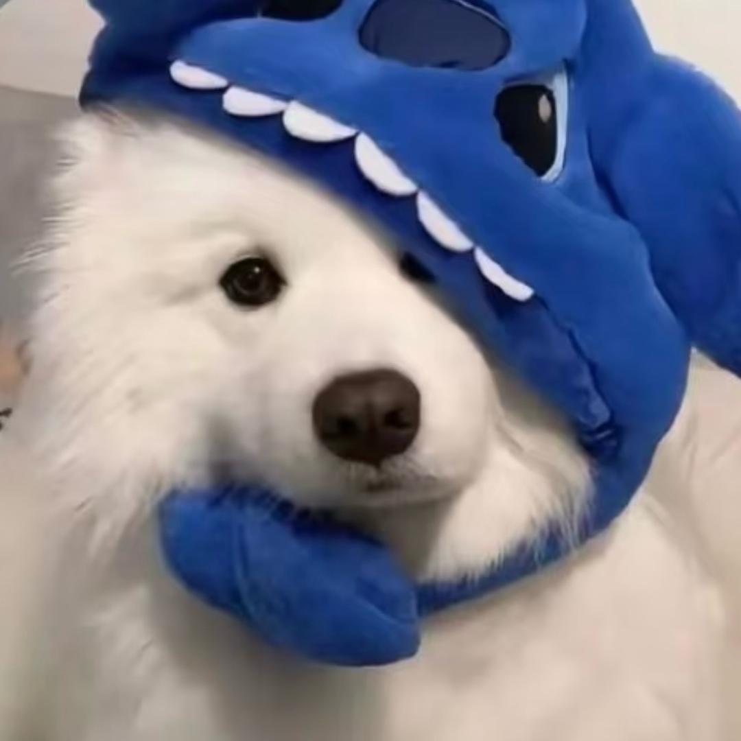 落雨ddd