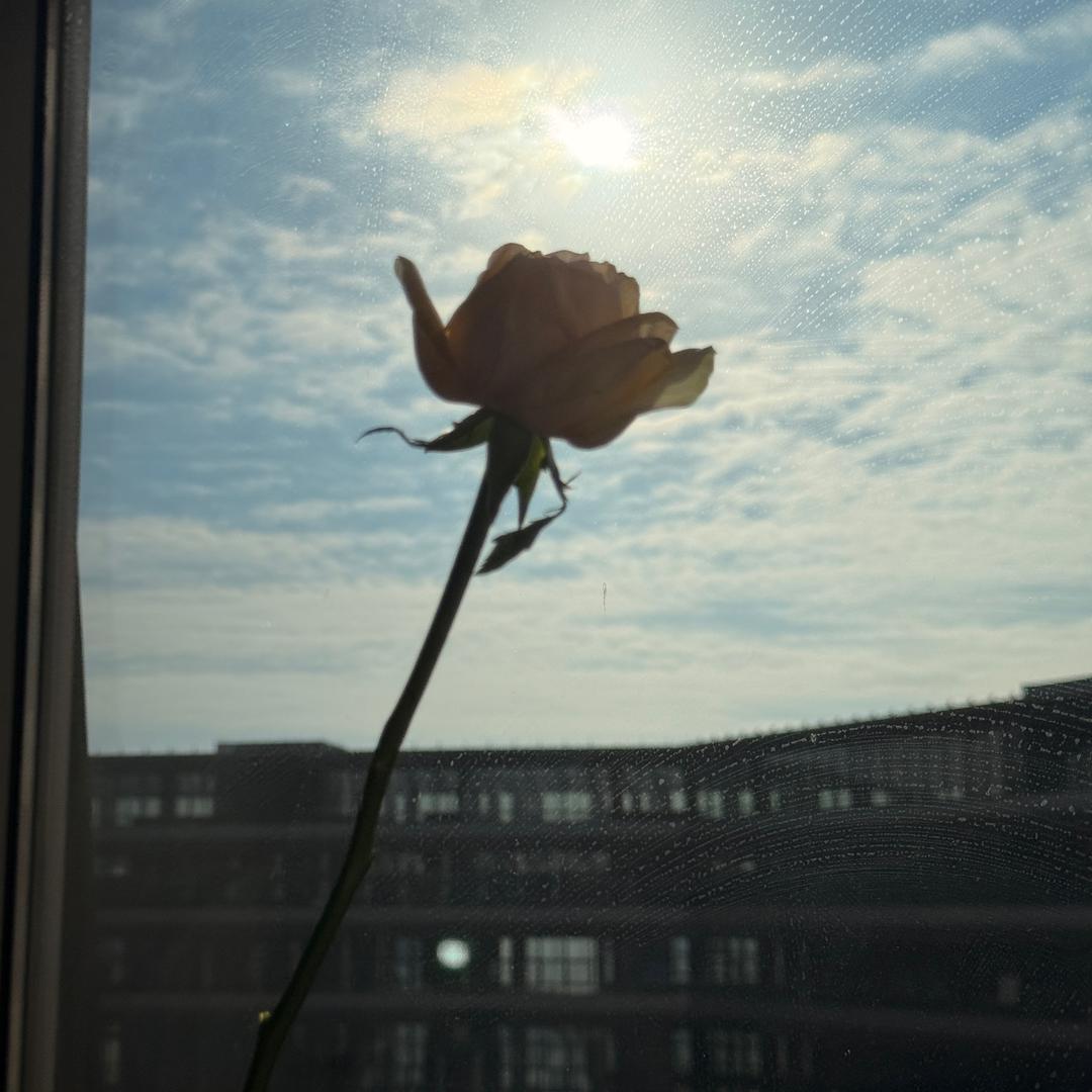 盛夏