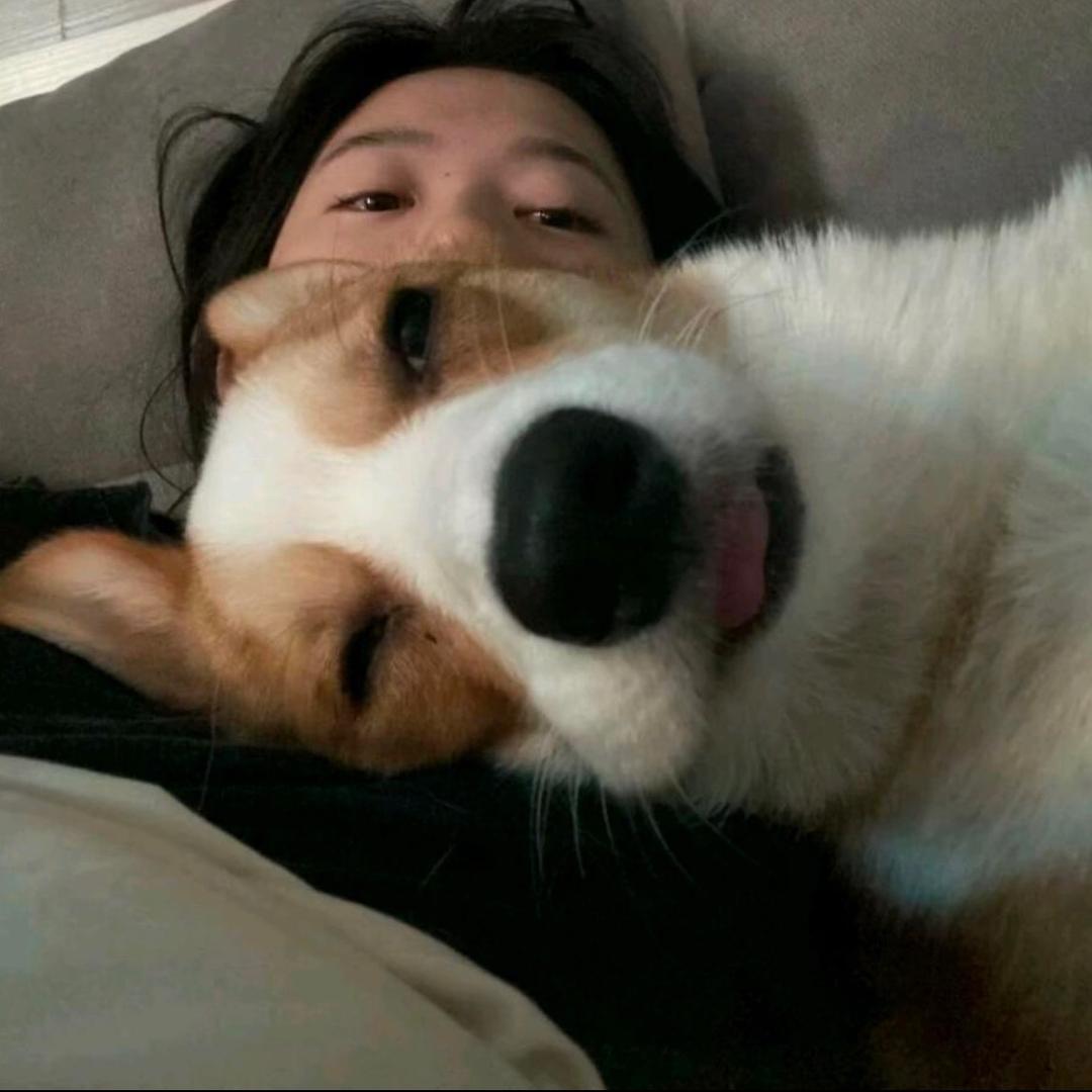 倬逸电竞·莹莹🎀