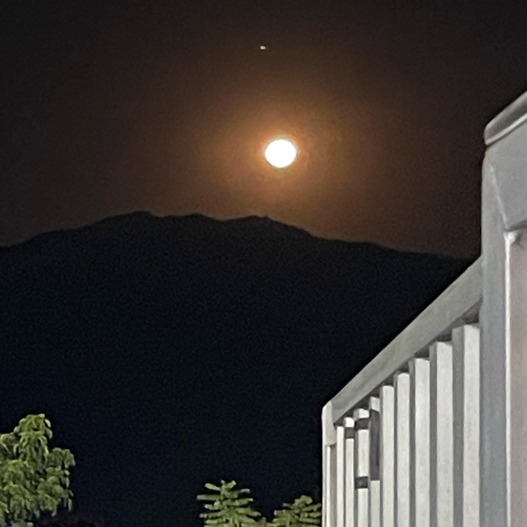 龙溪
