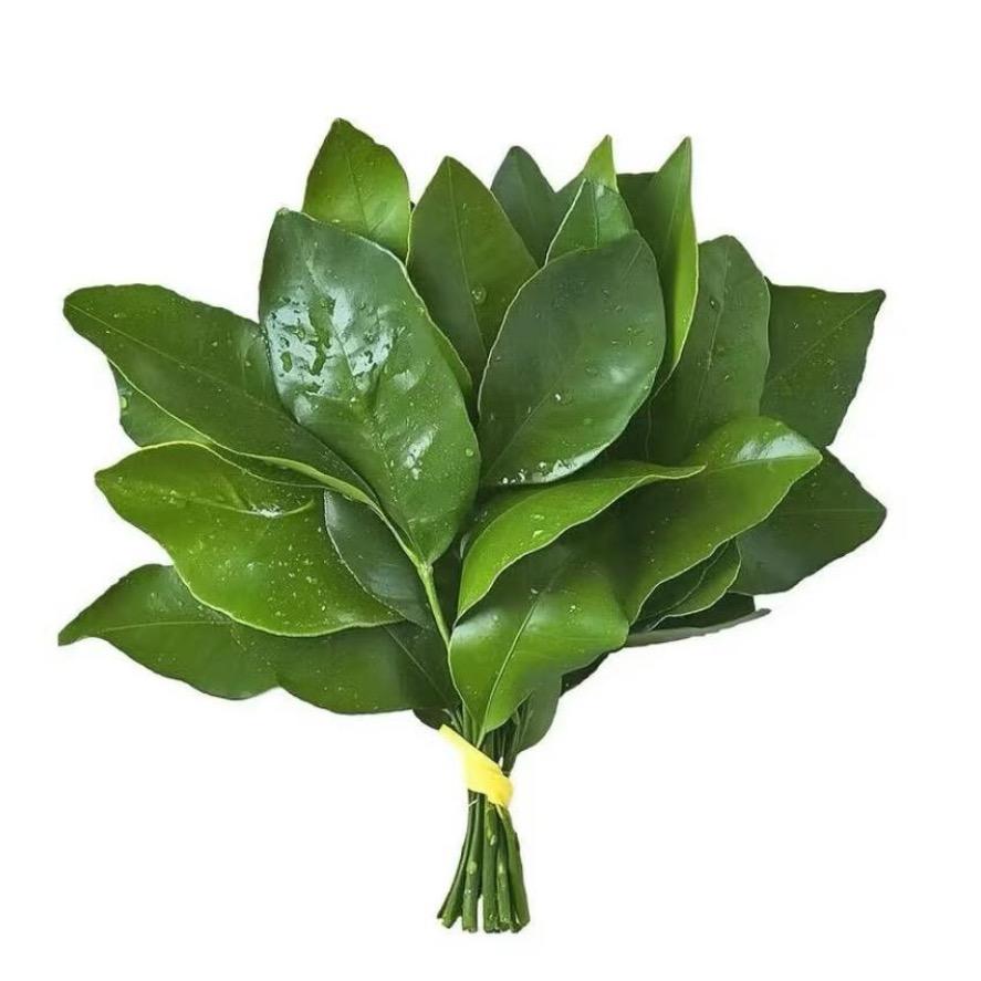 王木木