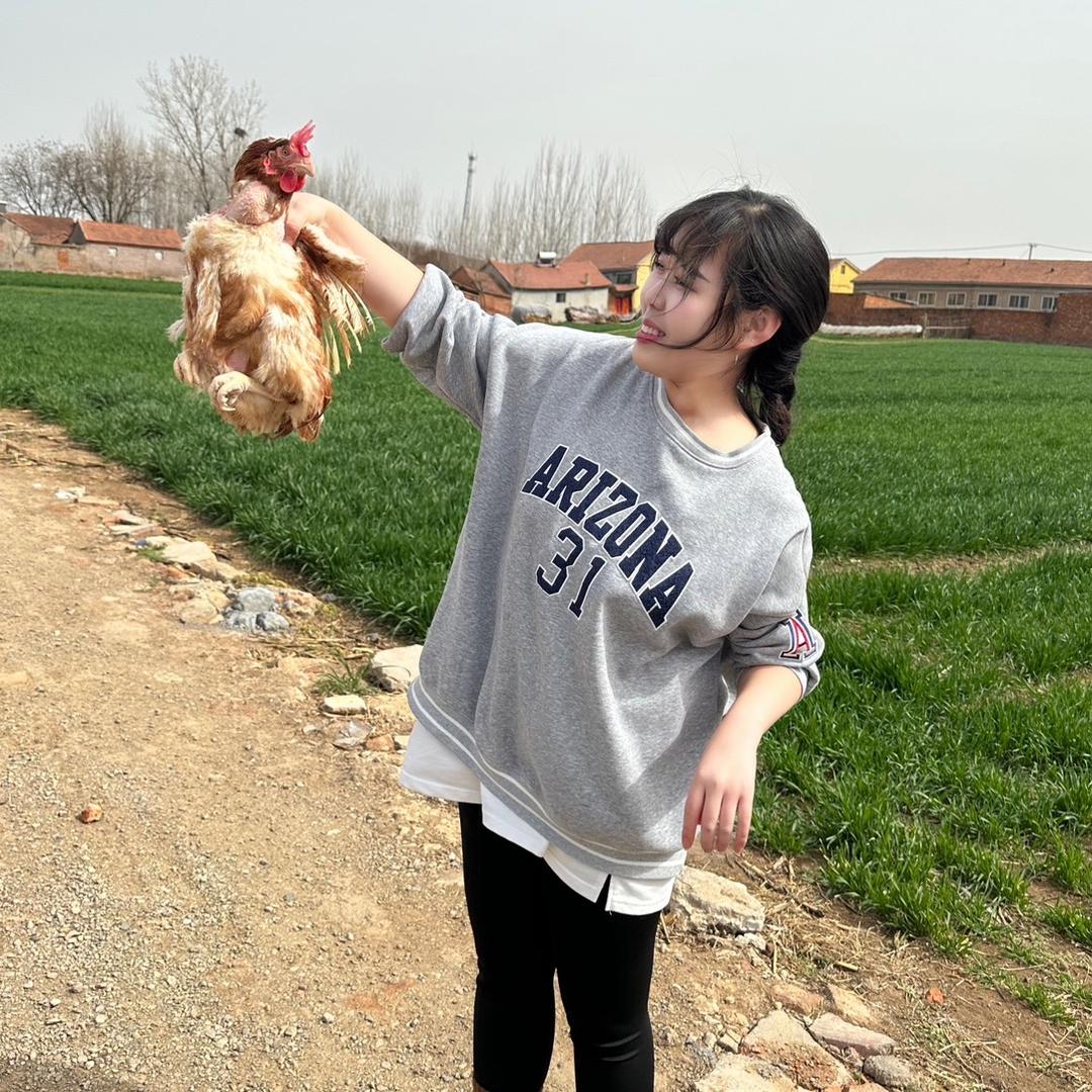 萍萍回村养蛋鸡