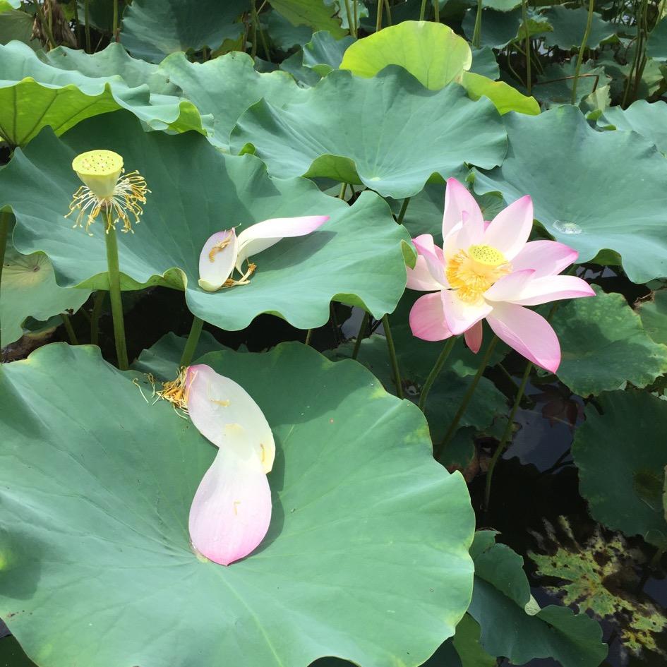 精打细算