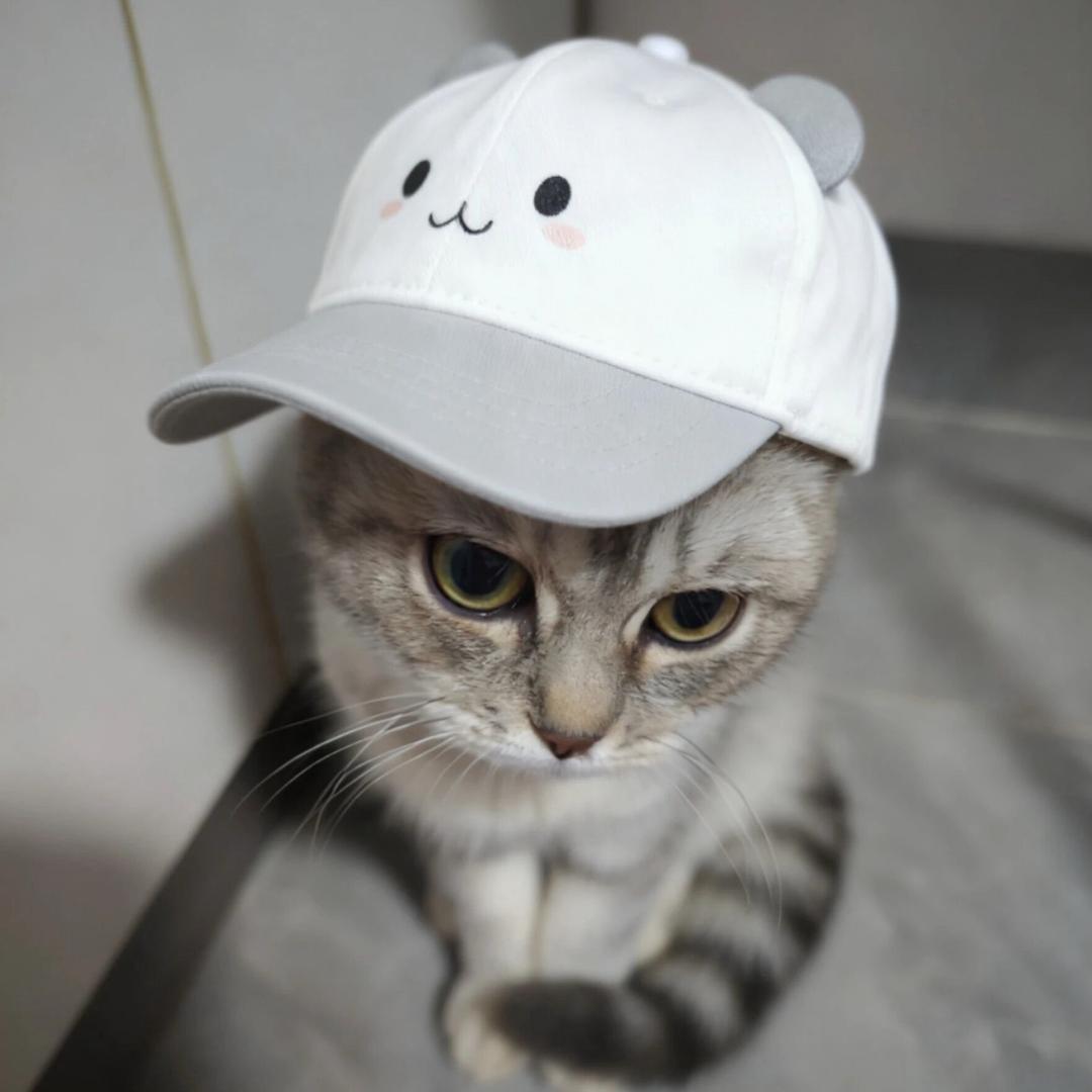 风溪（见过邓紫棋版）