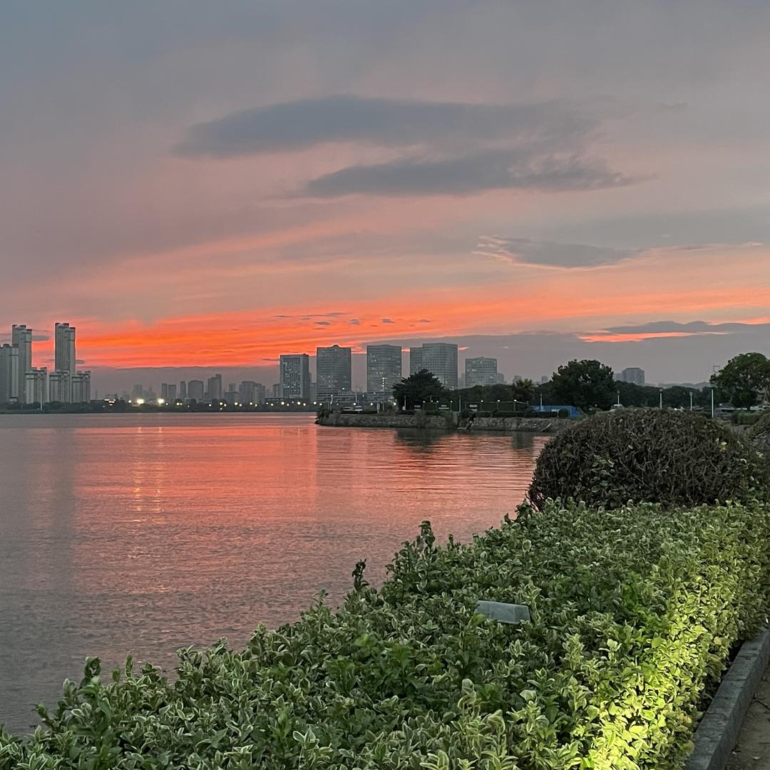 方寸水族观赏鱼