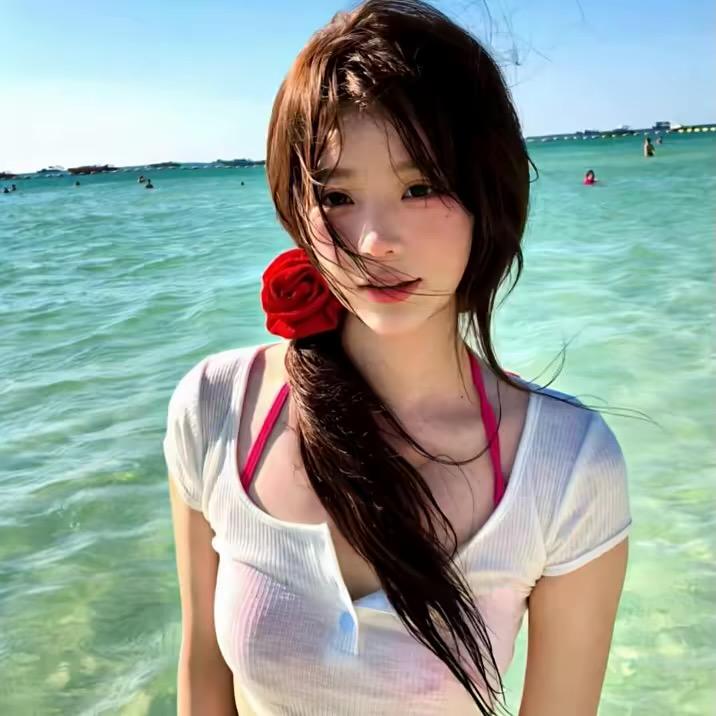 66梅.