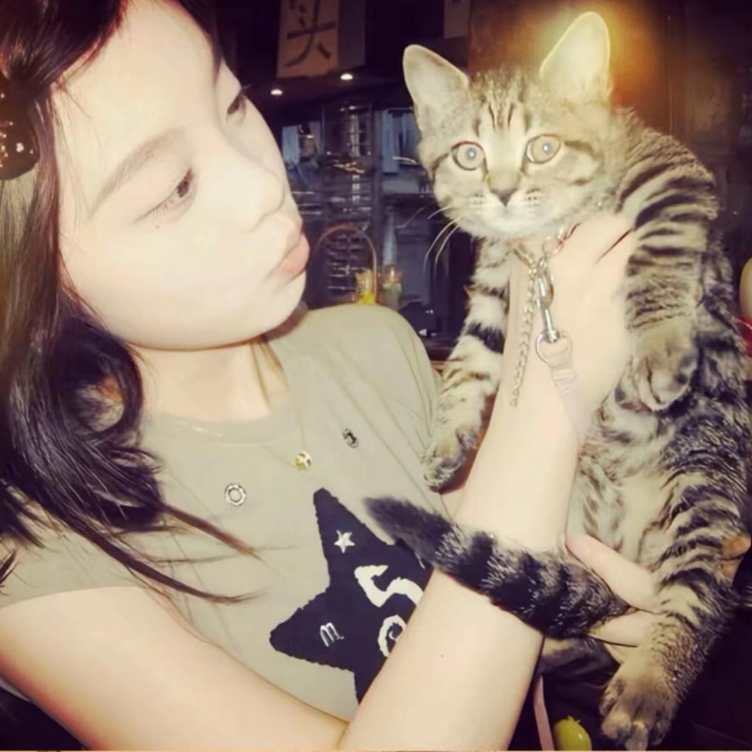 小羊驼、