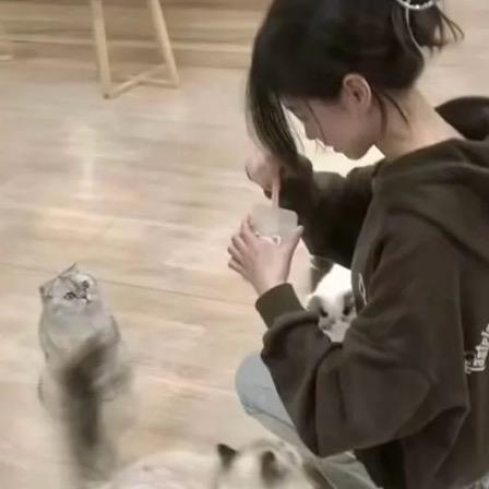 鲷鱼烧ᯅ̈