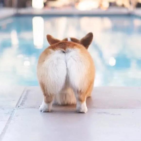 .林