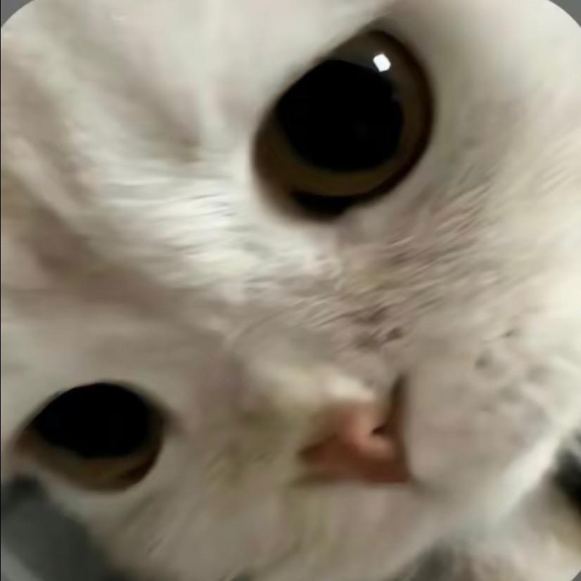 青月.