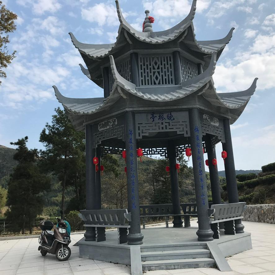 淡然处世的苏伊人头像