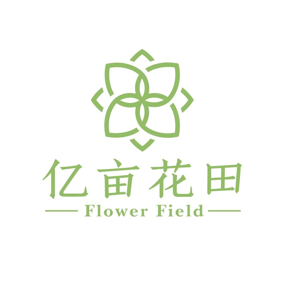 斗南亿亩花田
