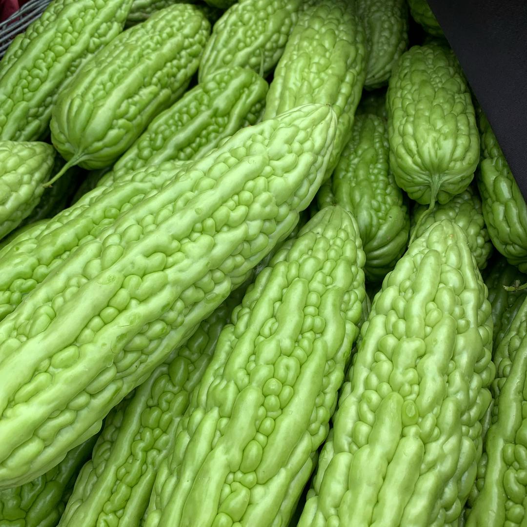 苦瓜种植研究所