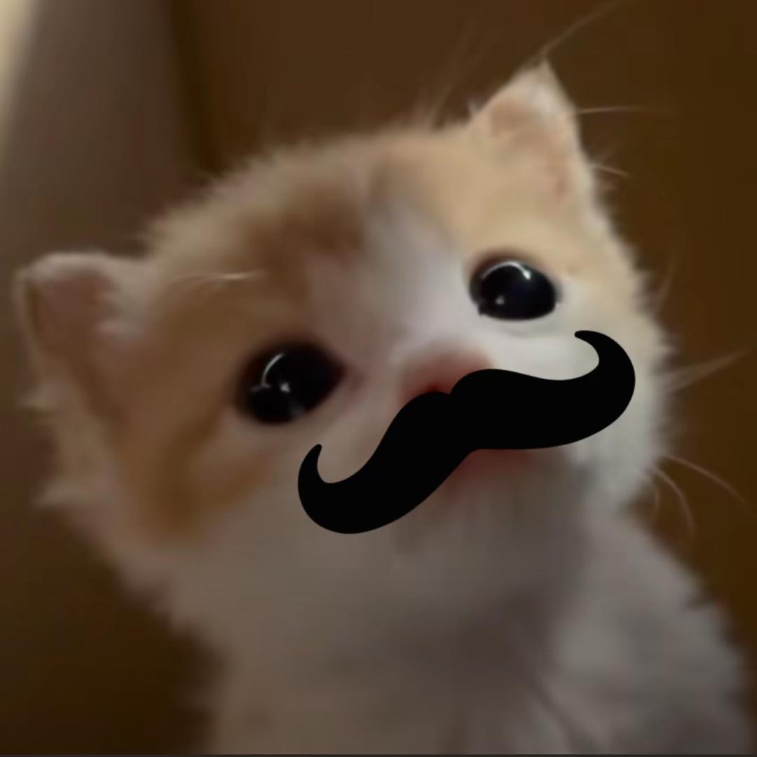 ok慧