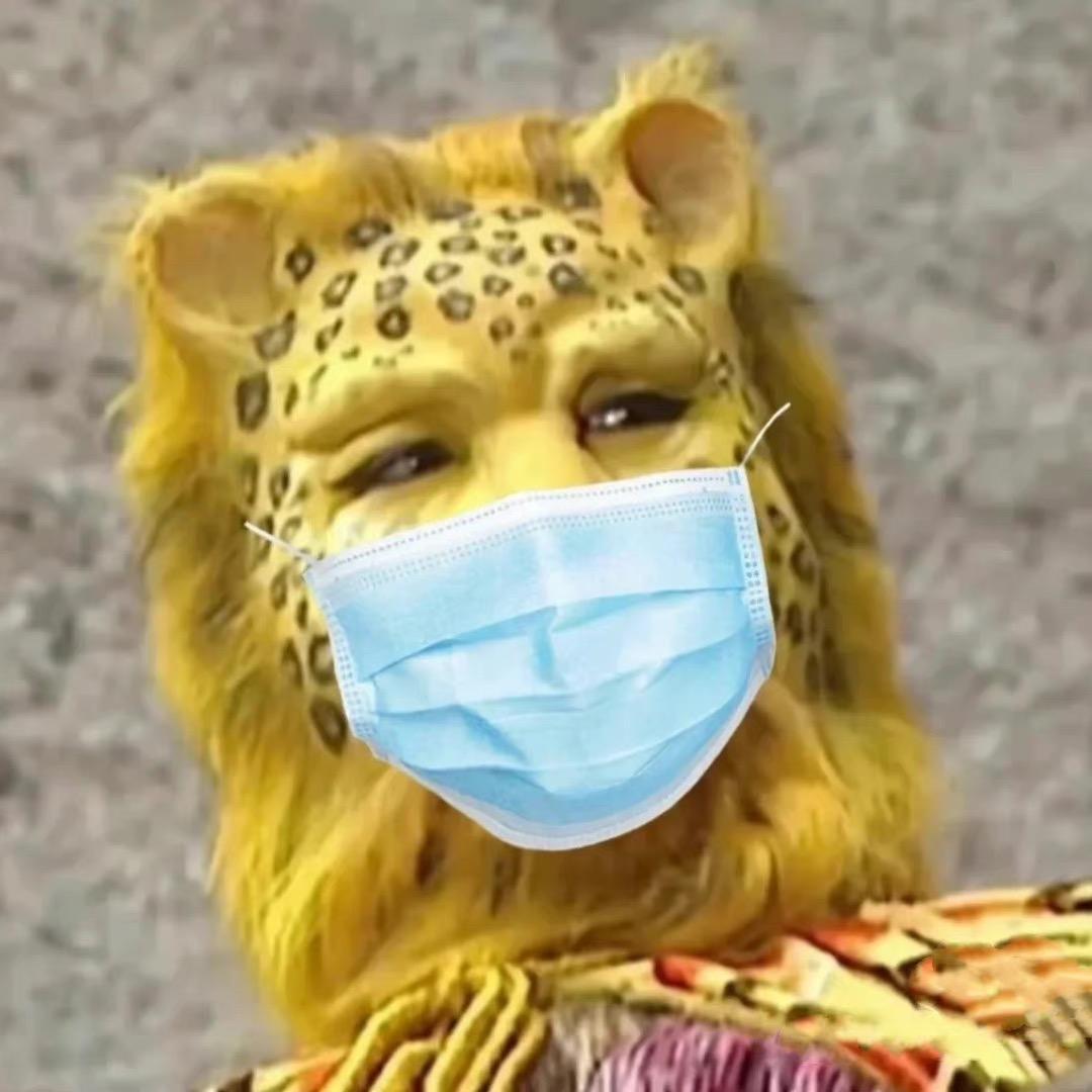 不爱楷勾子头像