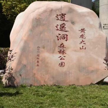 黄龙山森林公园