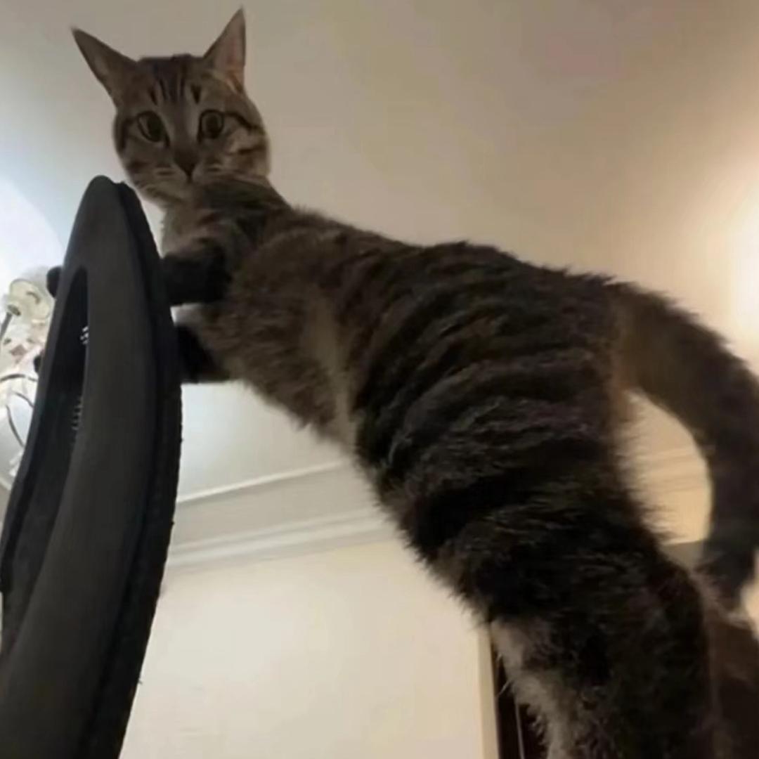 你随