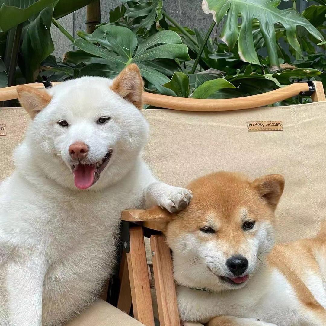 我超爱吃🍽️