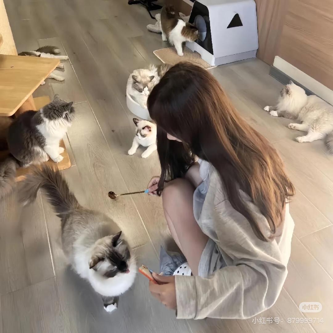 ꒰ঌ神金兮兮໒꒱