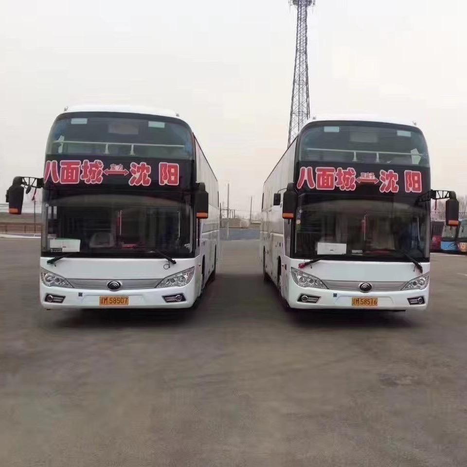 董金龙