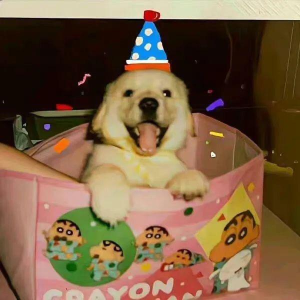 屎量过大全世界为我拆除公共厕所