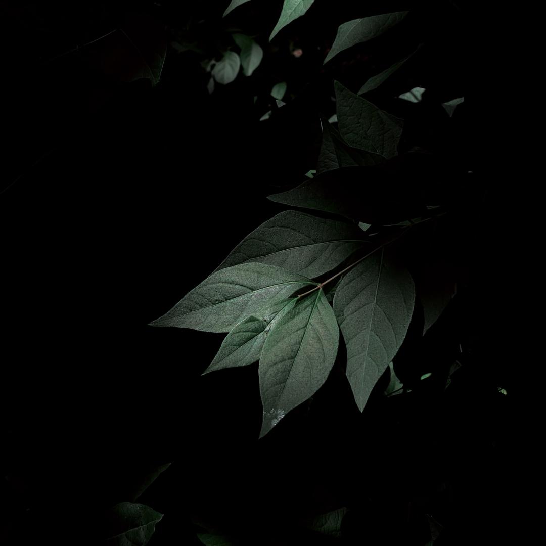 一帧封神研究所