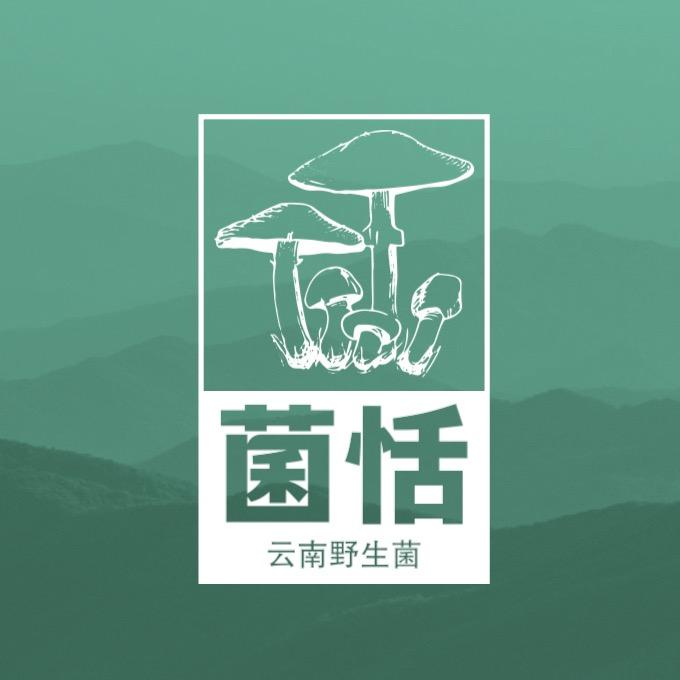 云南菌恬野生菌