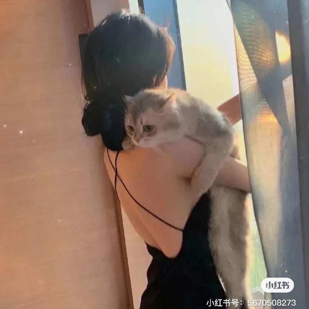 西安网约车 鸽子