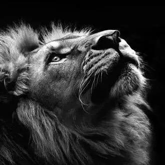 家焙商贸有限公司